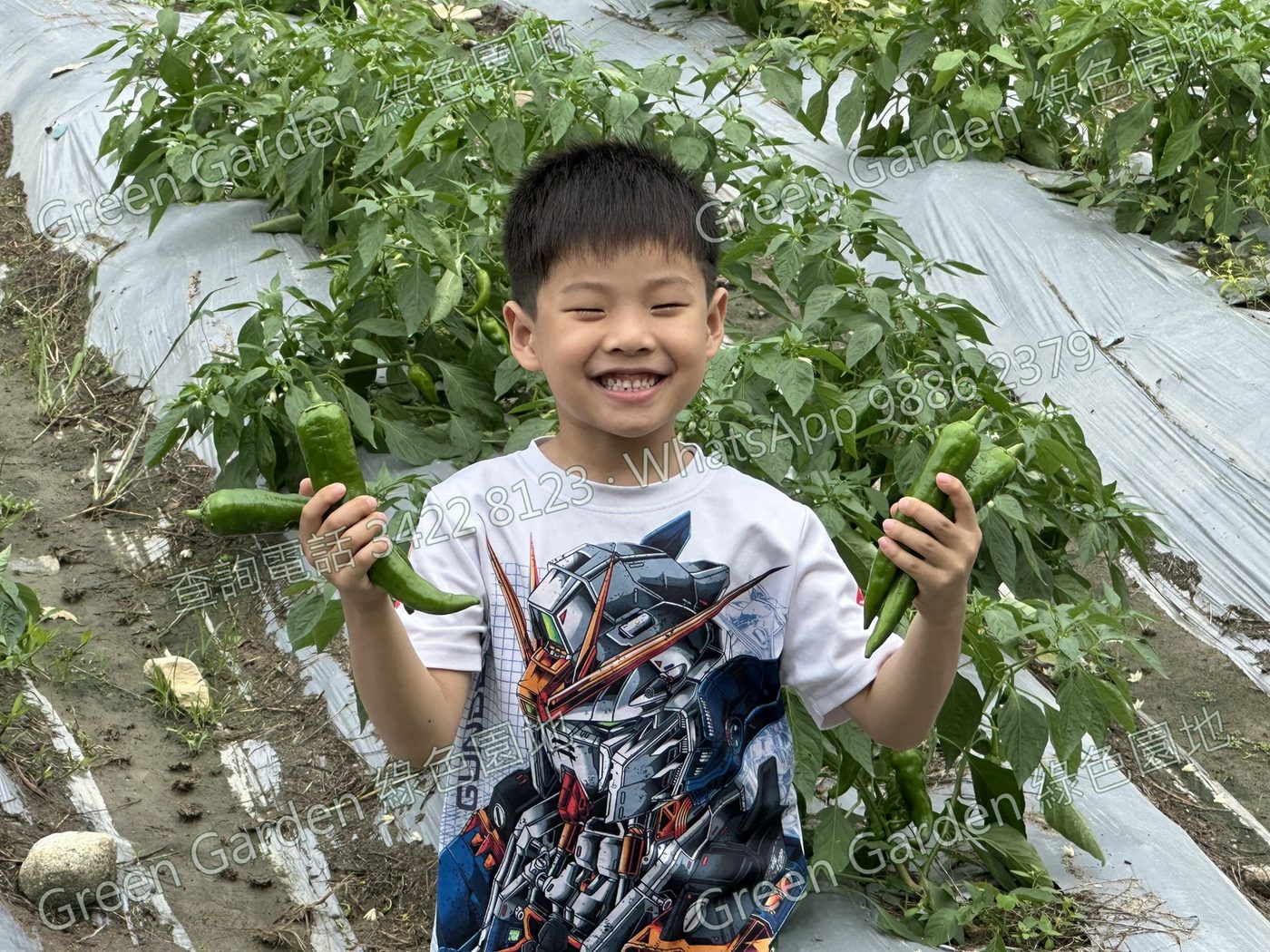 Facebook 親子遊農地