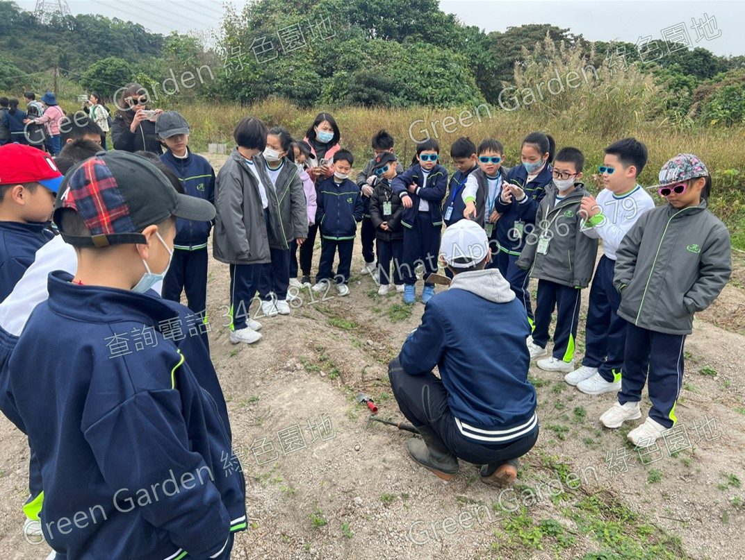 農場活動相片 2